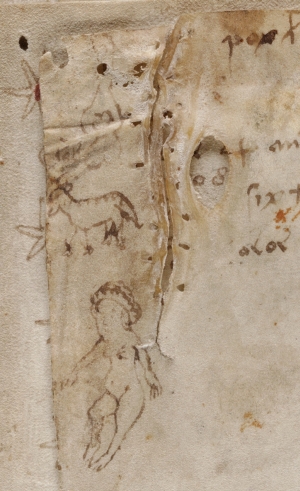 Drawings on the top left of f116v: A woman, a sheep (?), an "ace of spades" thingy and perhaps in between some Voynichese characters