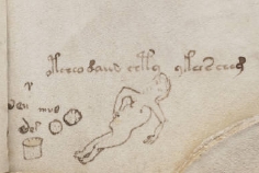"Dead woman" on the bottom of f66v